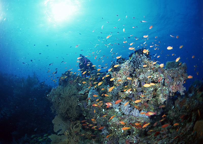 潛水有無身體條件和年齡限制？