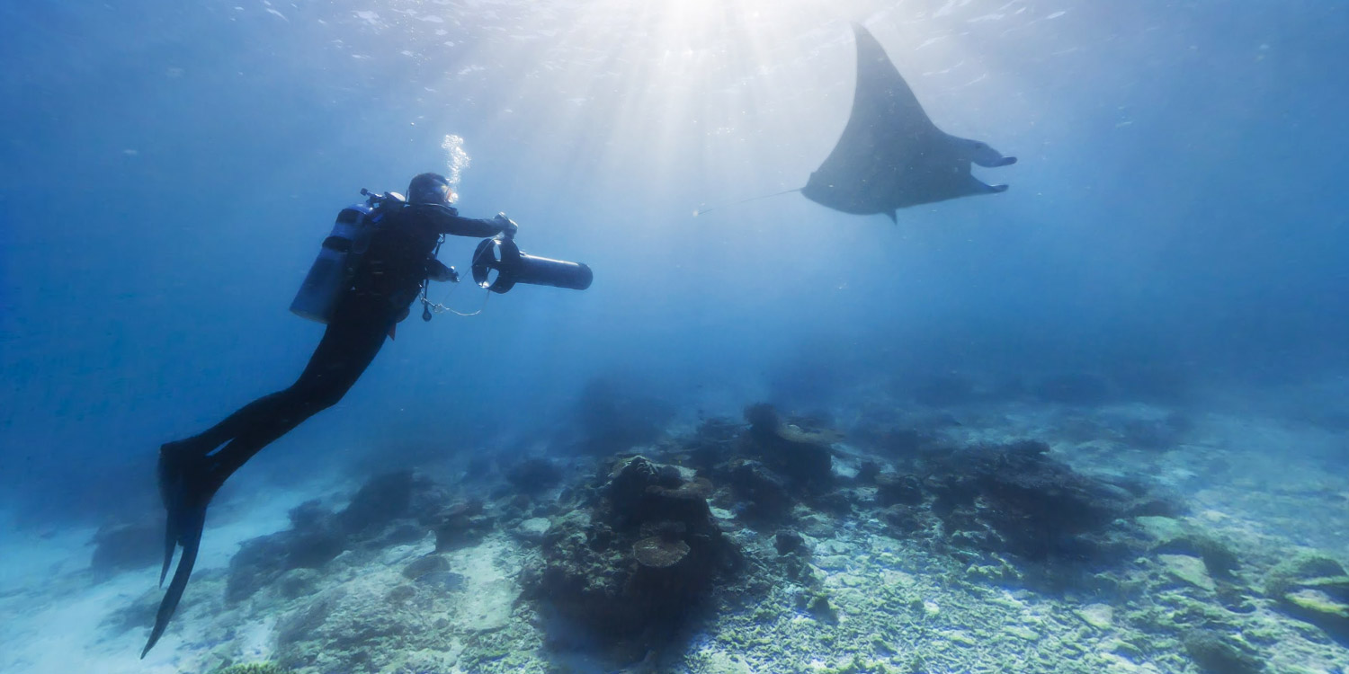 注意，這幾種情況下不能潛水