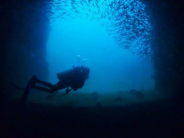 潛水拍照新姿勢(shì)，放下你的剪刀手，我們來這樣拍