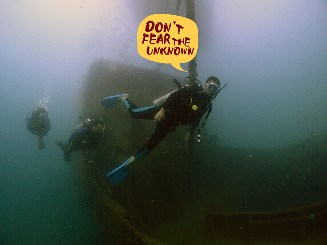 除了俯瞰大地的飛翔，還有潛入海底的翱翔。