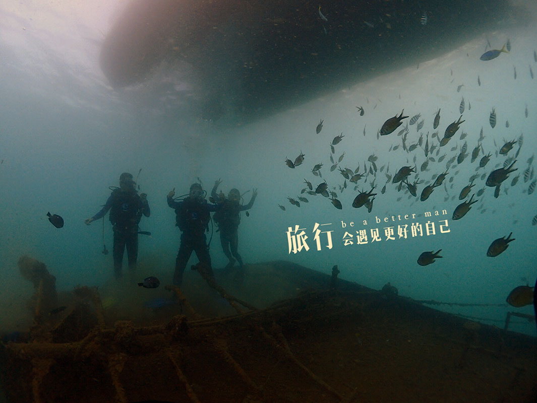 除了俯瞰大地的飛翔，還有潛入海底的翱翔。