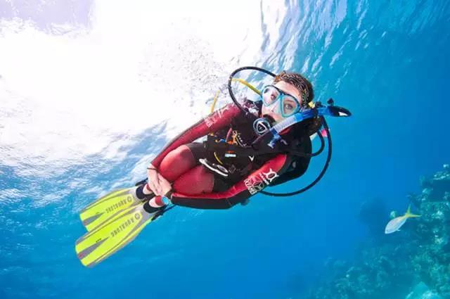 PADI 專長(zhǎng)課程丨帶給你探索海洋世界的無限可能
